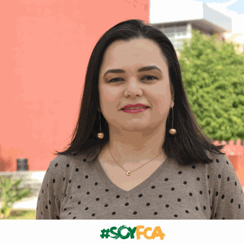 Equipo de la empresa