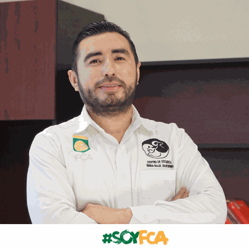 Equipo de la empresa